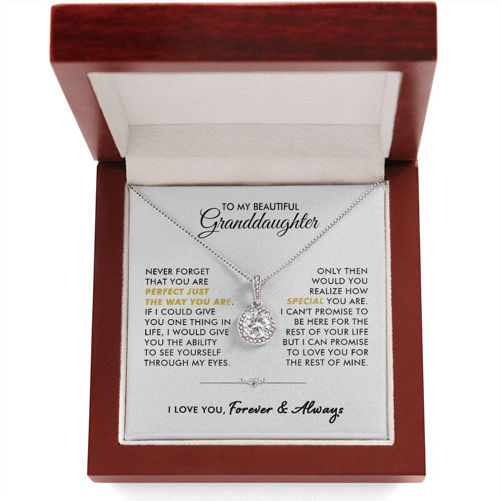 To My Beautiful Granddaughter - Never Forget - Eternal Necklace - Everyoou
